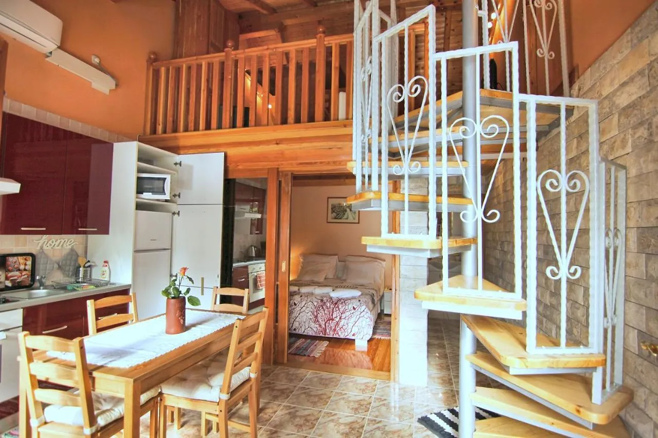 Xxl Ana Biograd Na Moru 1-22 Gosta Villa Polaca Croatia
