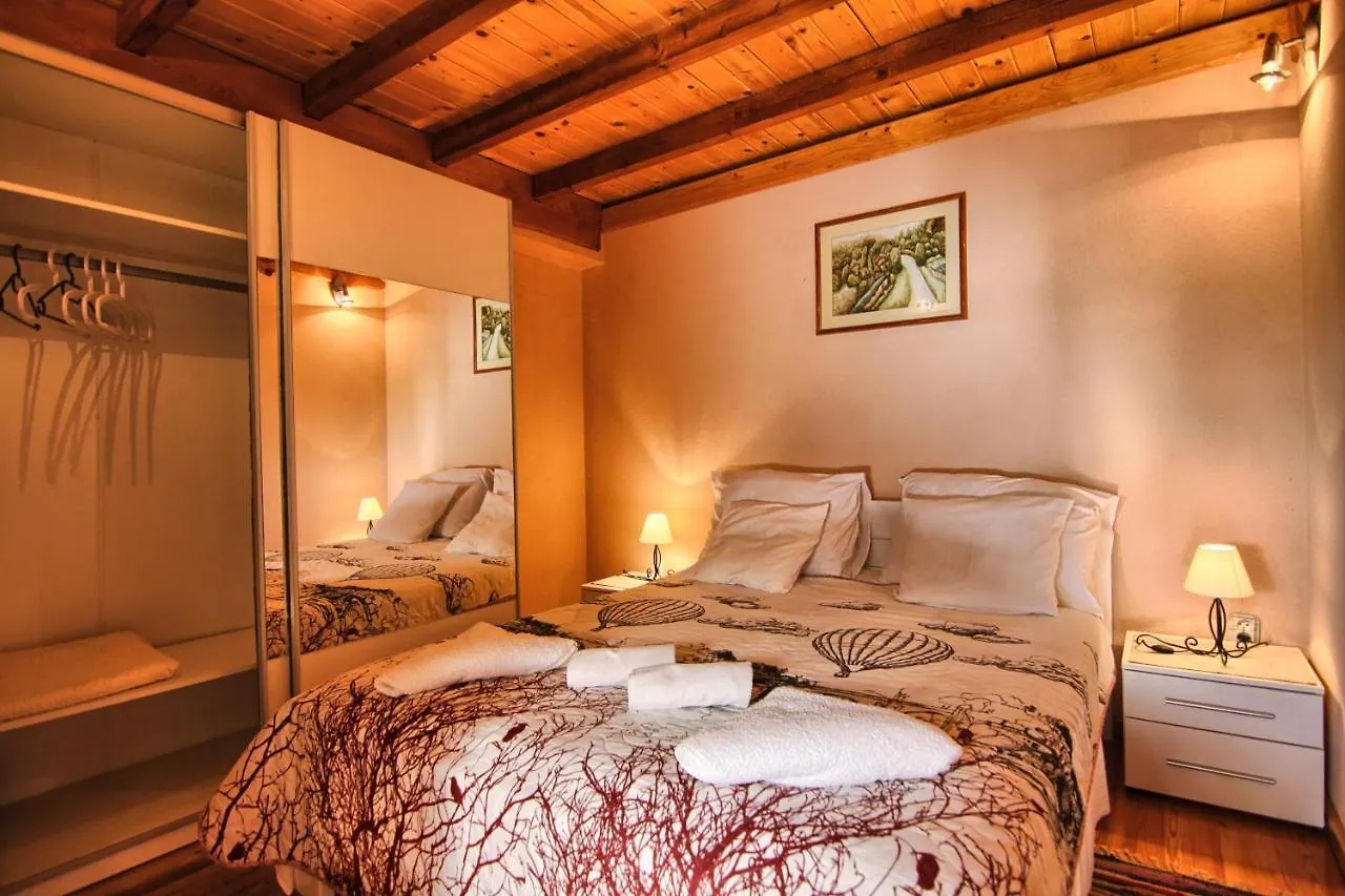 Xxl Ana Biograd Na Moru 1-22 Gosta Villa Polaca